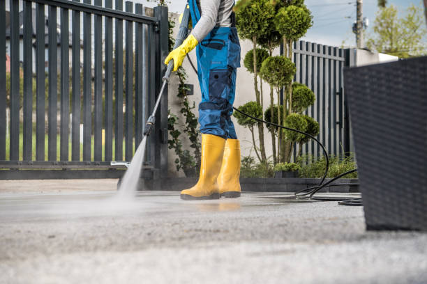 Animal Enclosure Cleaning in Wheatland, CA